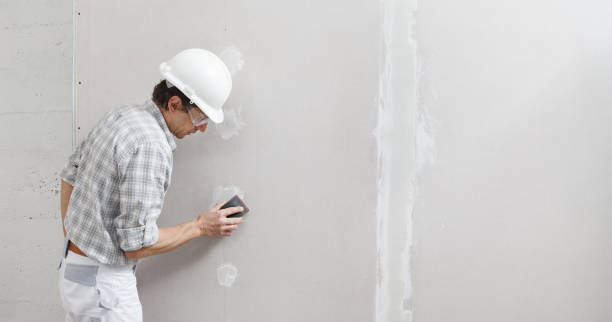 Best Black Mold Removal  in Spearfish, SD