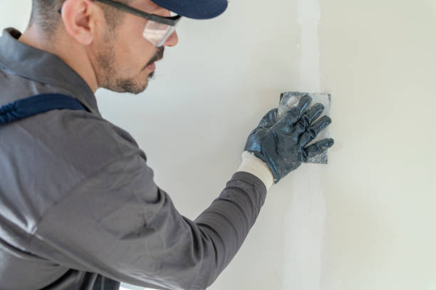  Spearfish, SD Mold Removal Pros